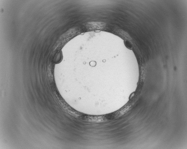 X0000052610377200507292155