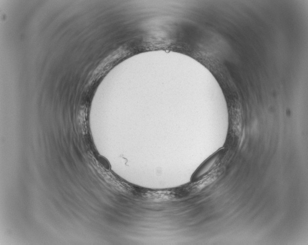 X0000052610378200507292155