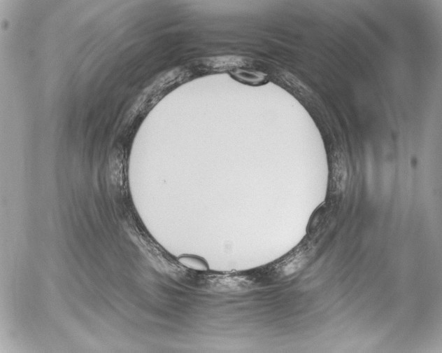 X0000052610379200507292155