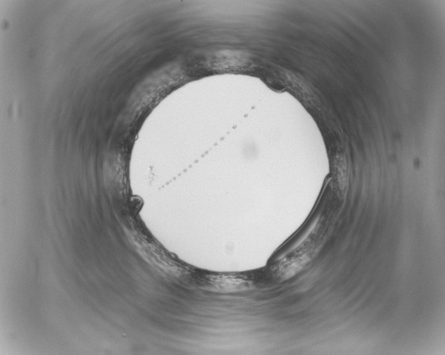 X0000052610380200507292155