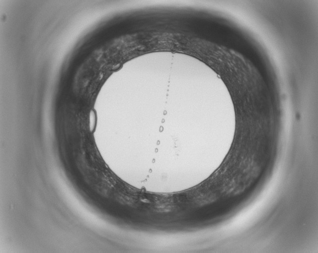 X0000052610382200507292155