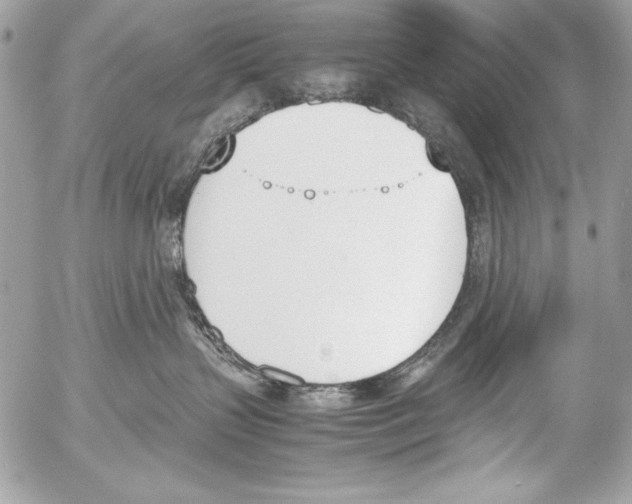 X0000052610383200507292155