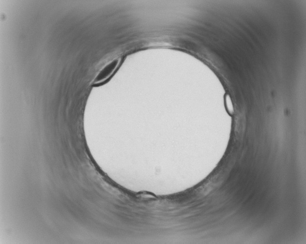 X0000052610385200507292154