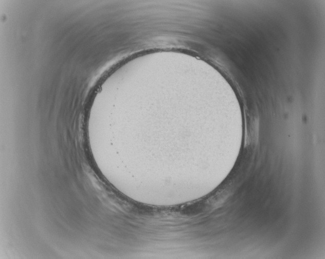 X0000052610387200507292154