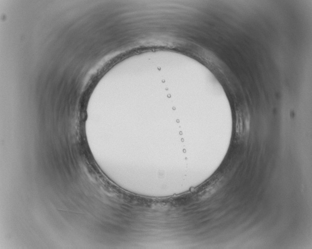 X0000052610388200507292154