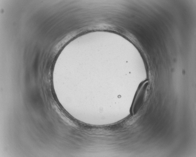 X0000052610389200507292154