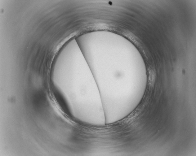 X0000052610390200507292154