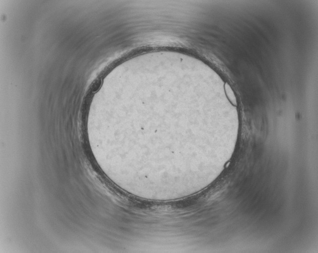 X0000052610391200507292154