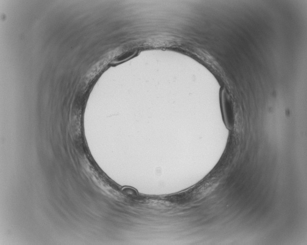 X0000052610393200507292154