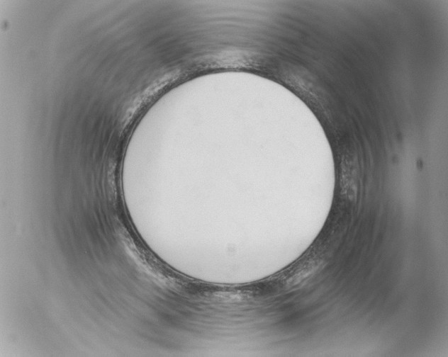 X0000052610394200507292154