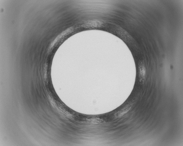 X0000052610396200507292154