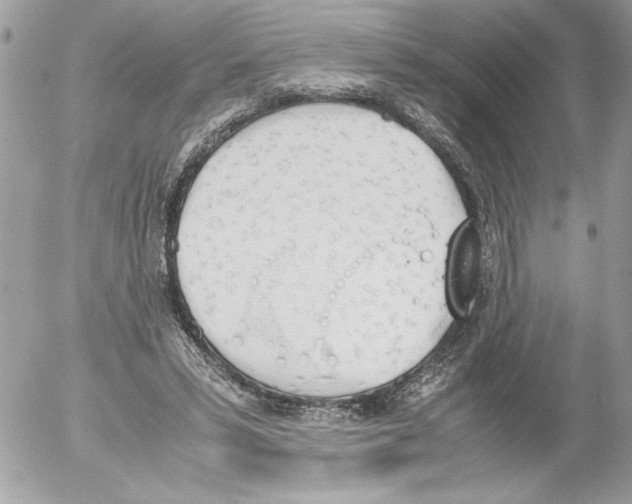 X0000052610399200507292154