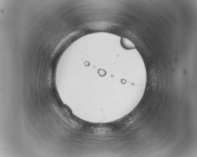 X0000052610400200507292154