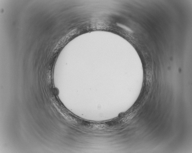 X0000052610401200507292154