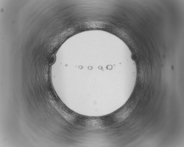 X0000052610402200507292154