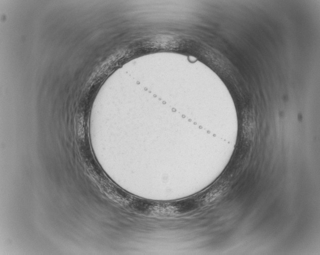 X0000052610403200507292154