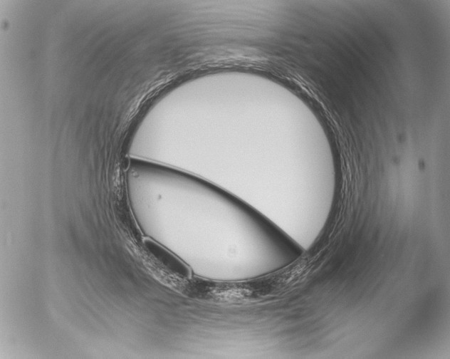 X0000052610407200507292154