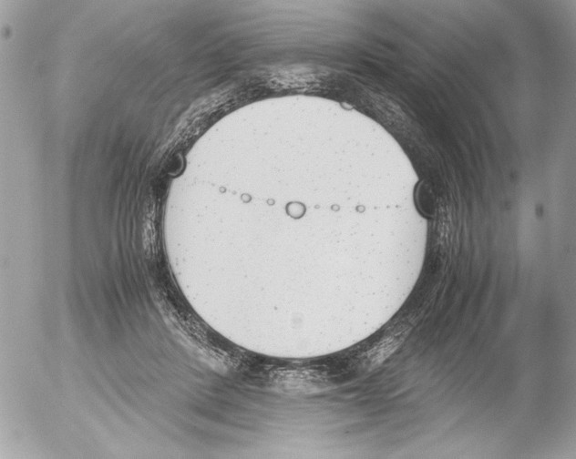 X0000052610408200507292154