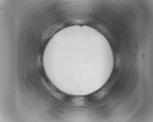 X0000052610410200507292154