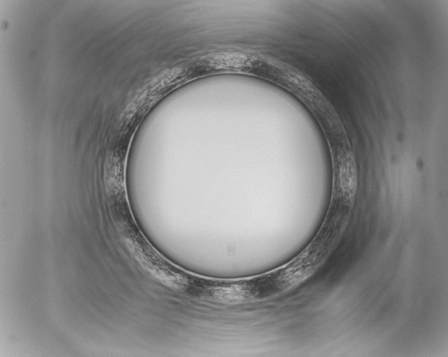 X0000052610411200507292154