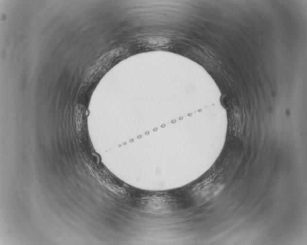 X0000052610412200507292154