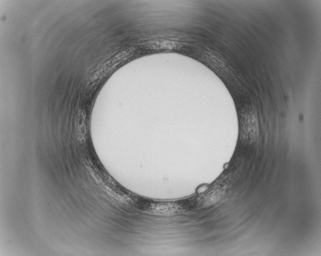 X0000052610414200507292154