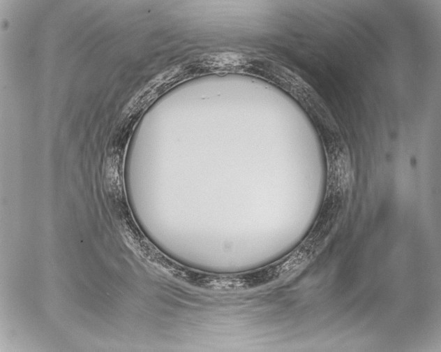 X0000052610415200507292154