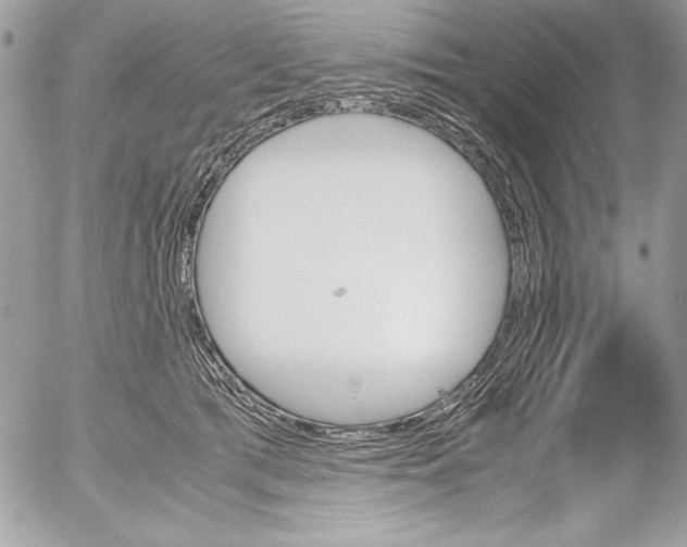 X0000052610417200507292153