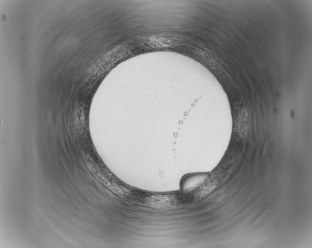 X0000052610418200507292153