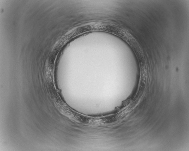 X0000052610419200507292153