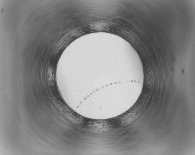 X0000052610420200507292153