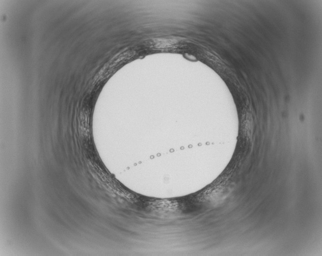 X0000052610421200507292153