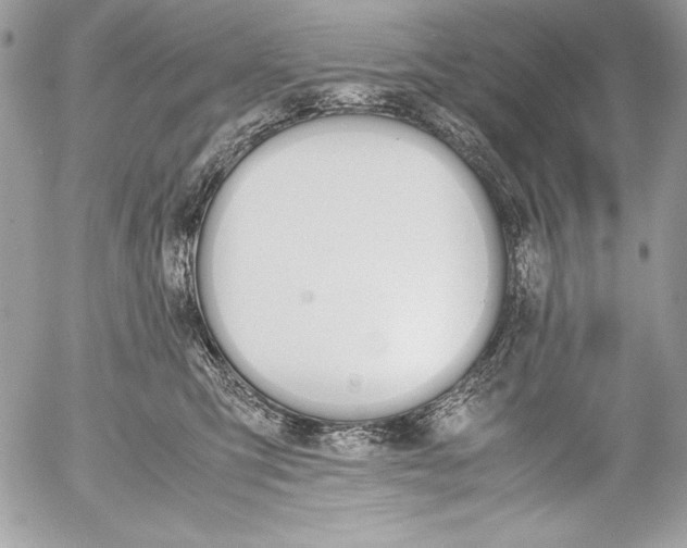 X0000052610423200507292153