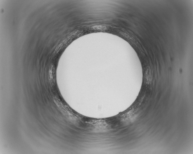 X0000052610424200507292153