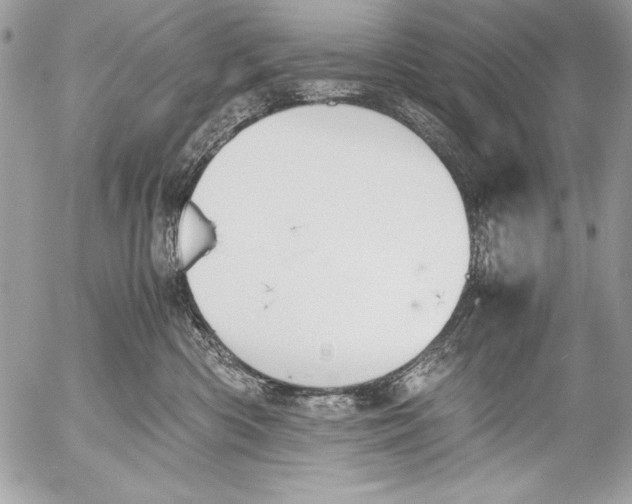 X0000052610426200507292153