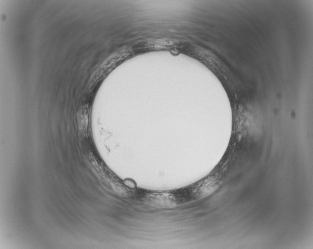 X0000052610427200507292153