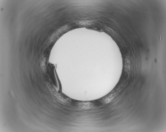 X0000052610428200507292153