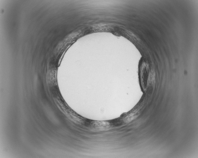 X0000052610429200507292153