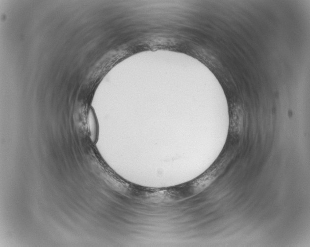 X0000052610430200507292153