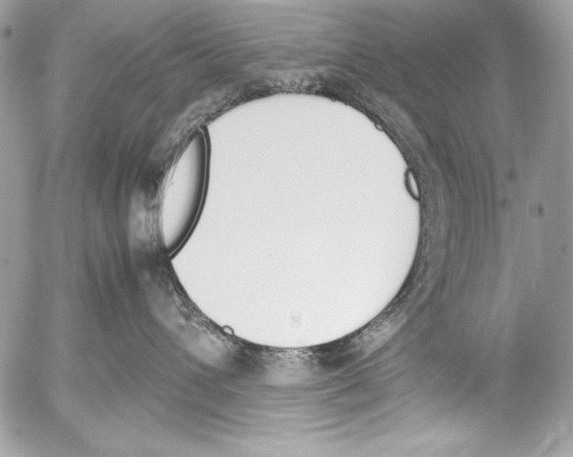 X0000052610432200507292153