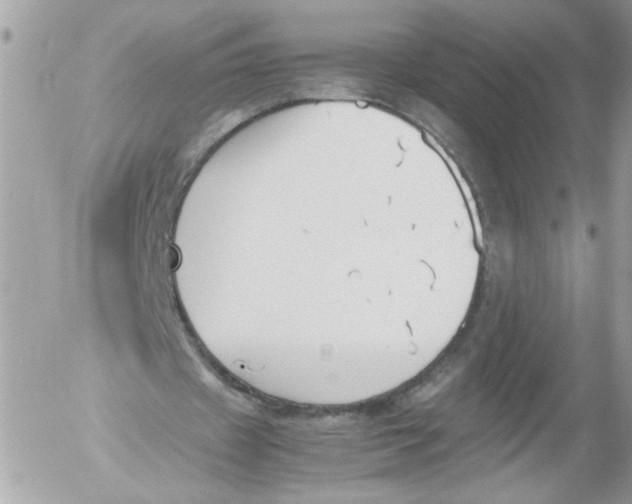 X0000052610433200507292152