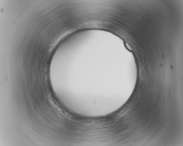 X0000052610434200507292152