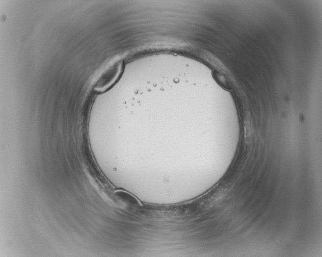 X0000052610436200507292153