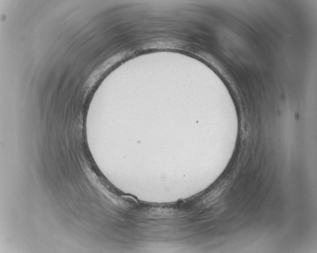 X0000052610437200507292153