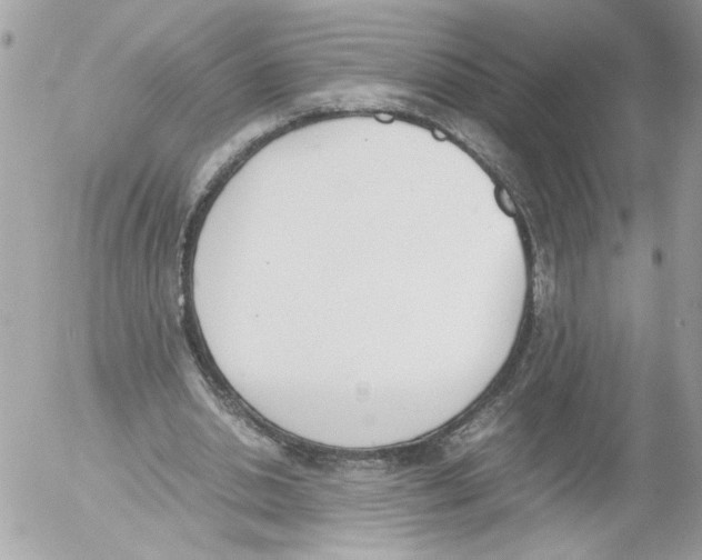 X0000052610438200507292153