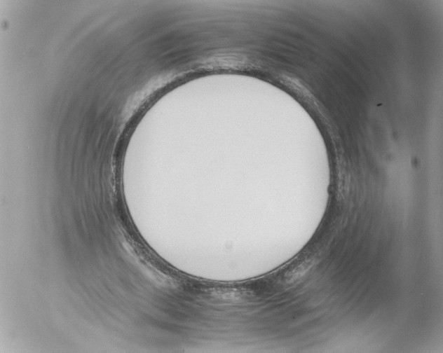 X0000052610439200507292153