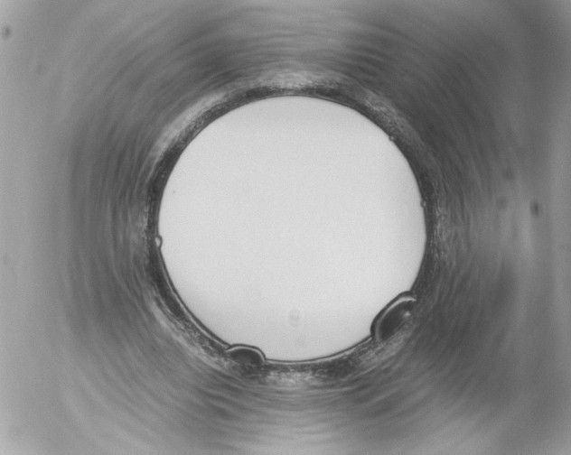 X0000052610440200507292153