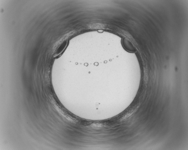 X0000052610441200507292153