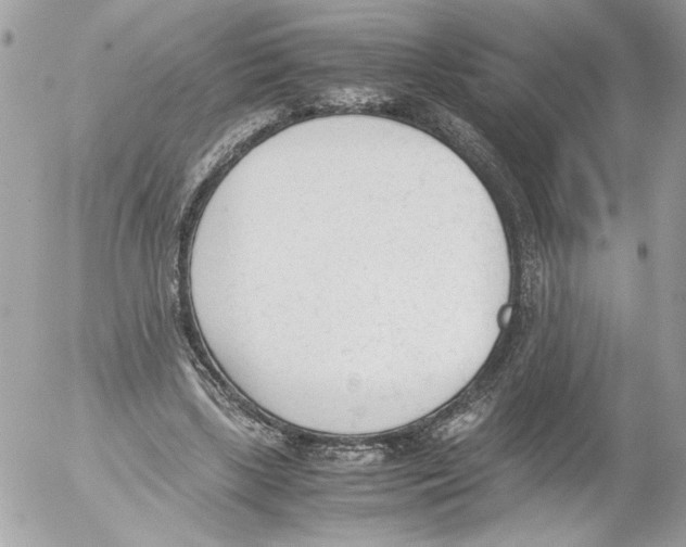 X0000052610443200507292153