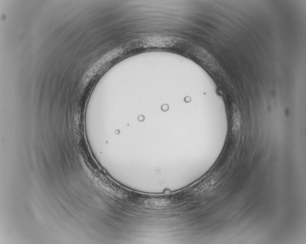 X0000052610444200507292153